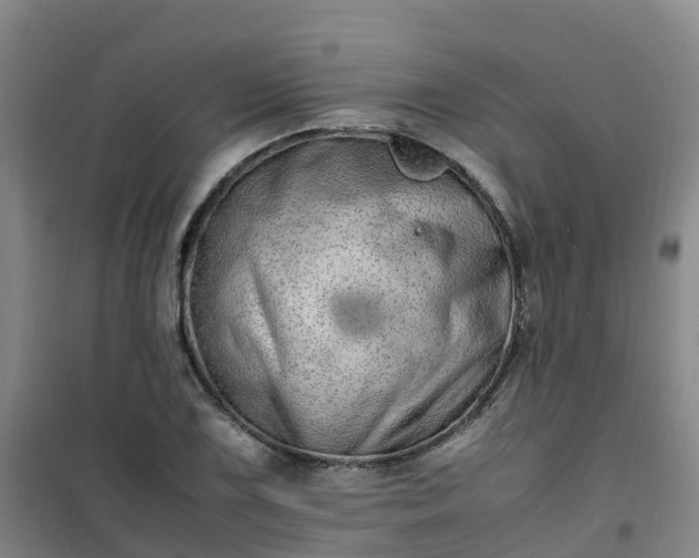X0000101171075200807111047