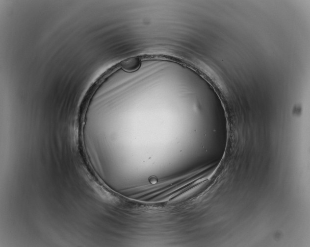 X0000101171076200807111047