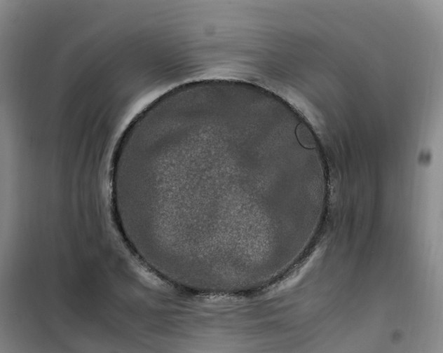X0000101171077200807111046