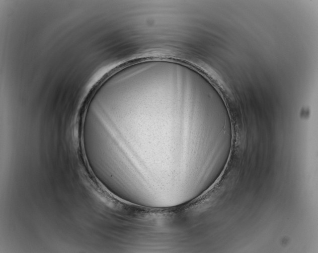 X0000101171078200807111046
