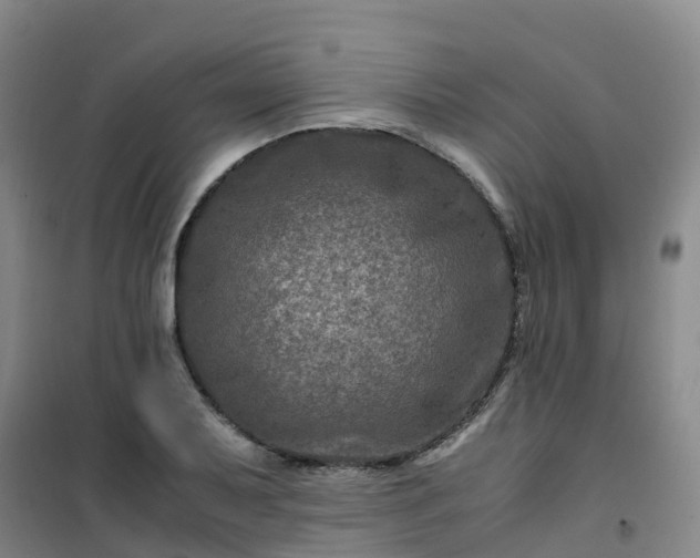 X0000101171079200807111046