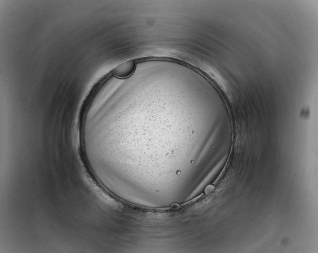 X0000101171080200807111046