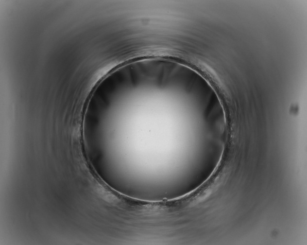 X0000101171081200807111046