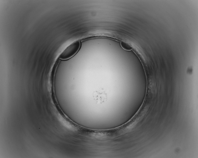 X0000101171082200807111046