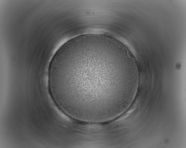 X0000101171083200807111046