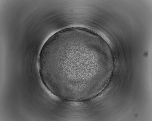 X0000101171084200807111046