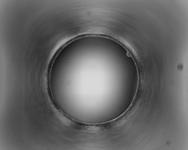X0000101171085200807111046
