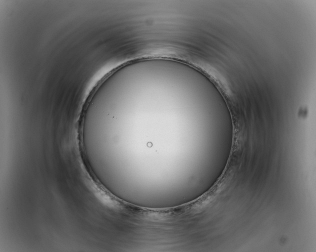 X0000101171086200807111046