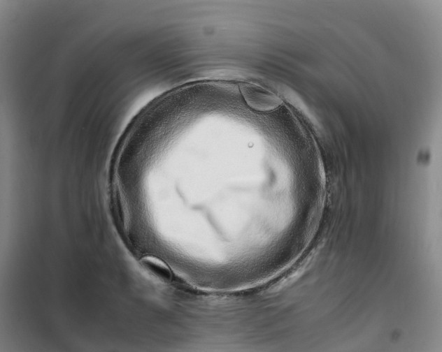 X0000101171087200807111046