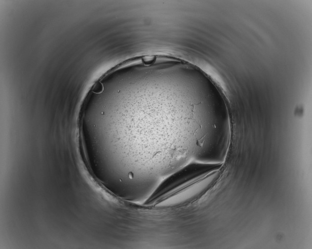 X0000101171088200807111046