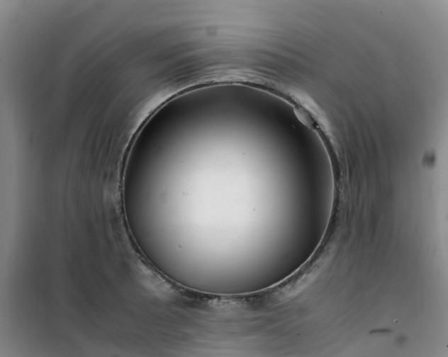 X0000101171089200807111046