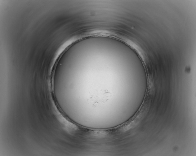 X0000101171090200807111046
