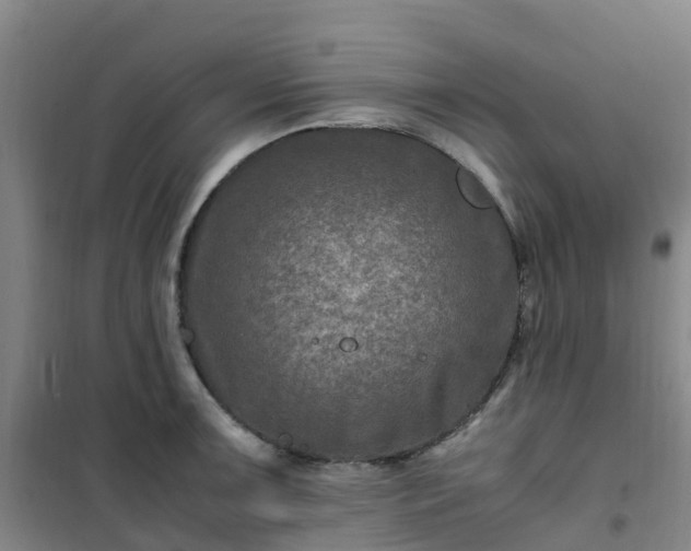 X0000101171091200807111046
