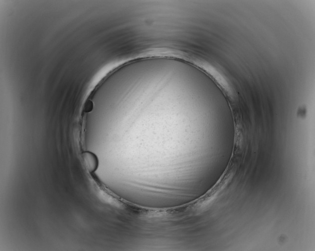X0000101171094200807111046