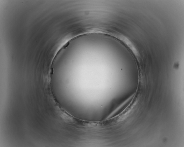 X0000101171097200807111046