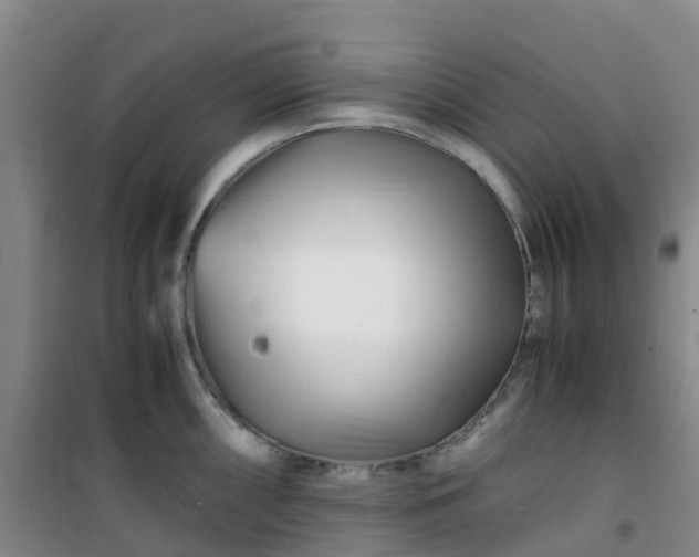 X0000101171098200807111046