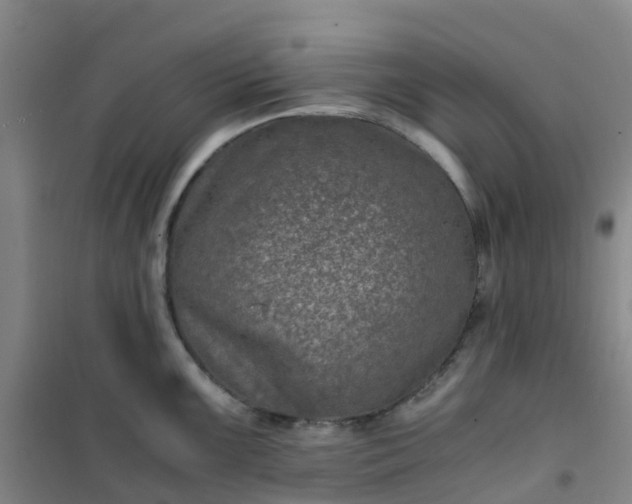 X0000101171099200807111046
