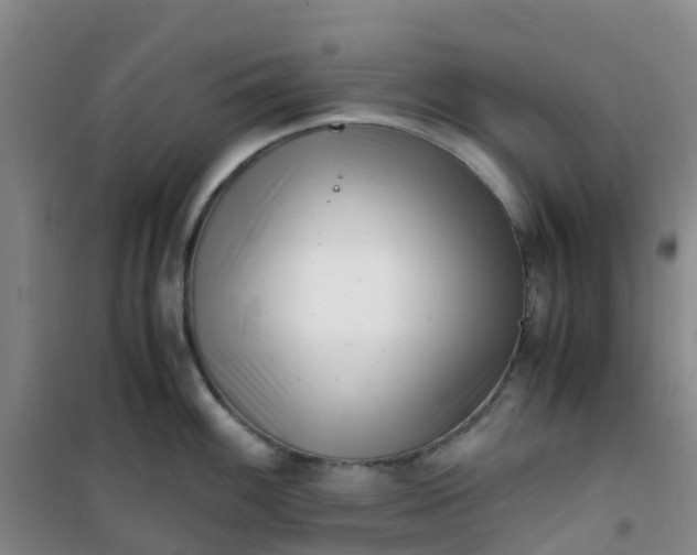 X0000101171100200807111046