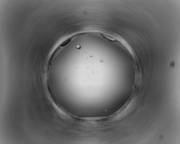 X0000101171101200807111046