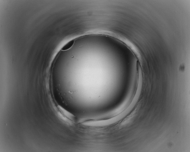 X0000101171102200807111046