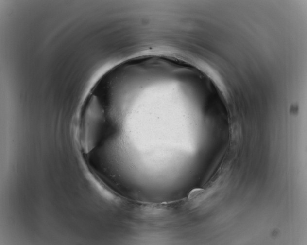 X0000101171103200807111046