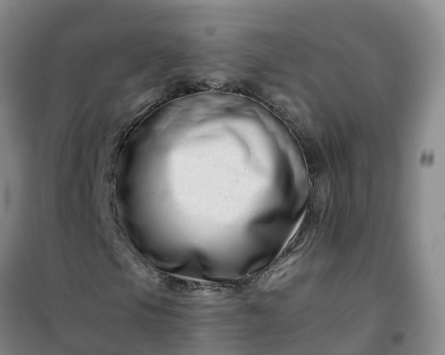 X0000101171105200807111045