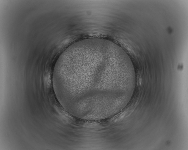X0000101171106200807111045