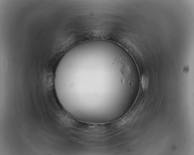 X0000101171107200807111045