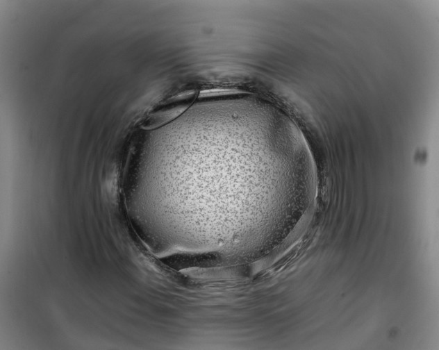 X0000101171108200807111045