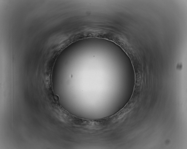 X0000101171109200807111045