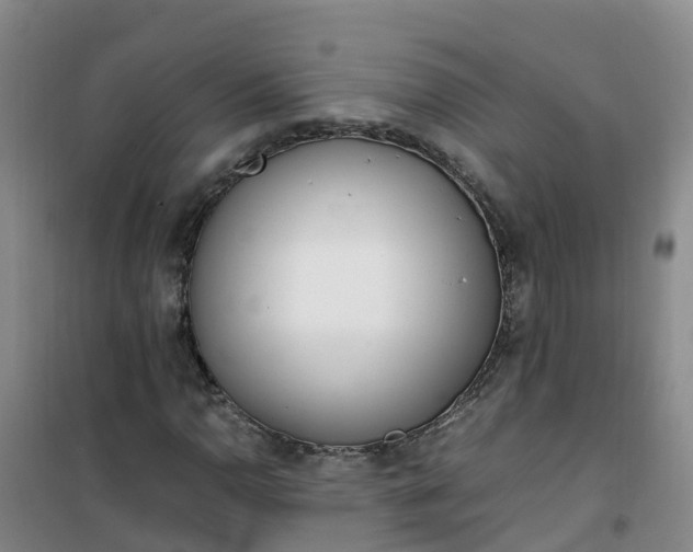 X0000101171110200807111045