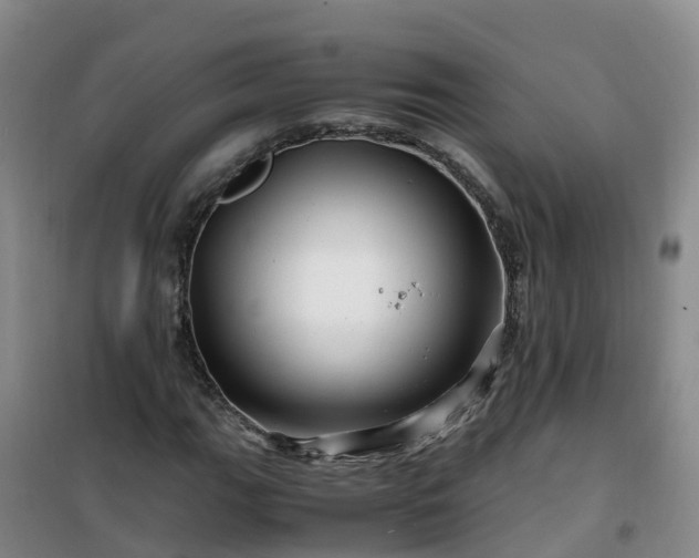 X0000101171111200807111046