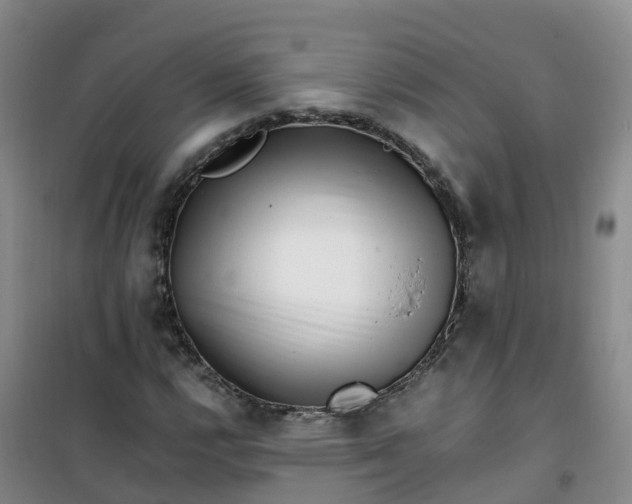 X0000101171112200807111046
