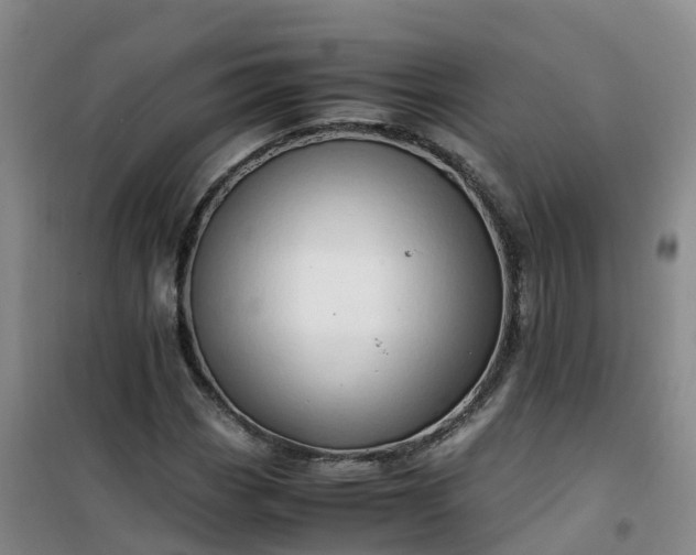 X0000101171113200807111046