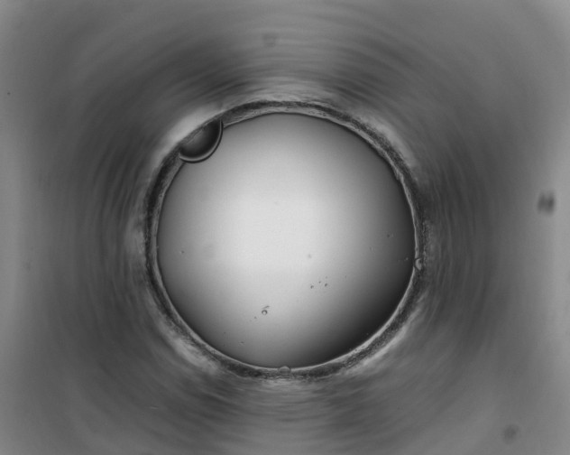 X0000101171114200807111046