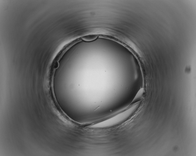 X0000101171116200807111046