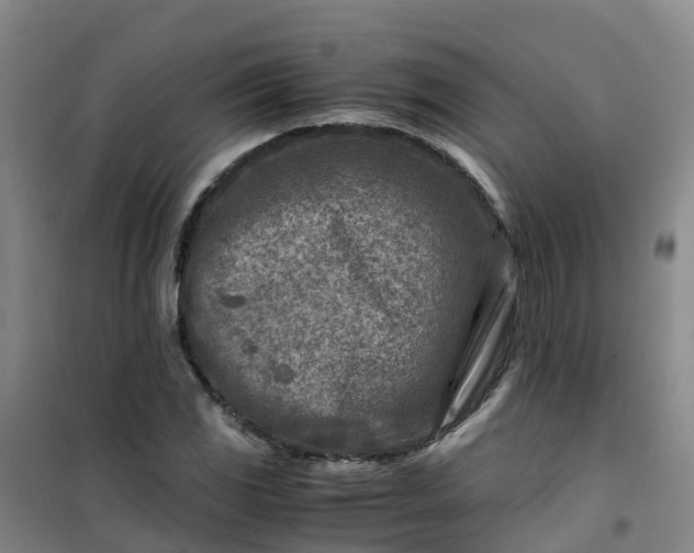X0000101171117200807111046