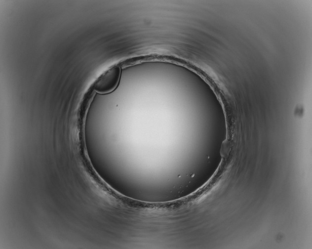 X0000101171118200807111046