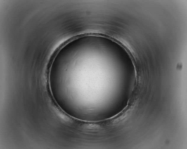 X0000101171119200807111046