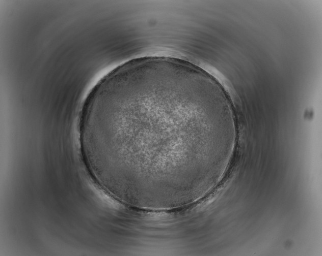 X0000101171120200807111046