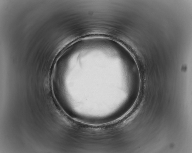 X0000101171121200807111046
