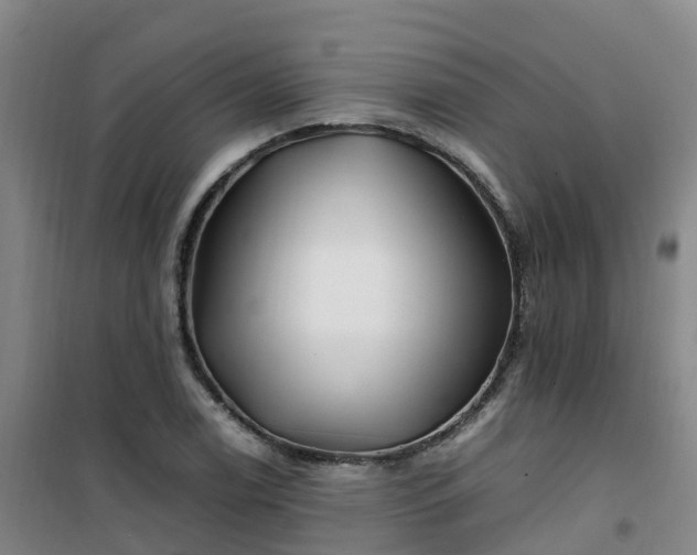 X0000101171122200807111046