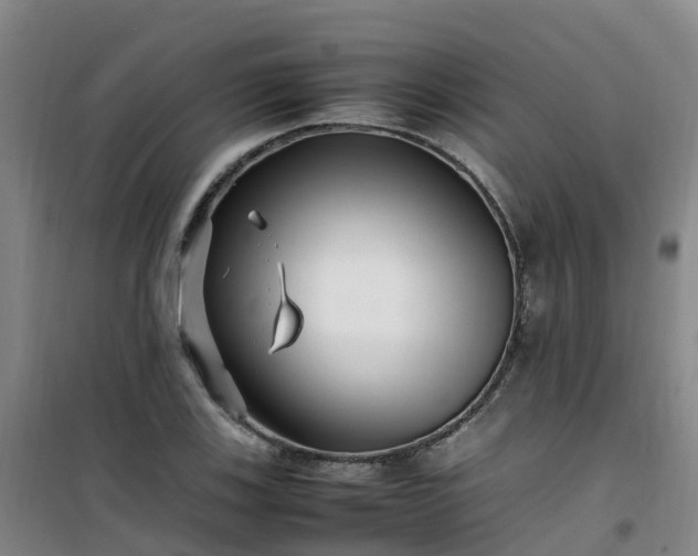 X0000101171123200807111046