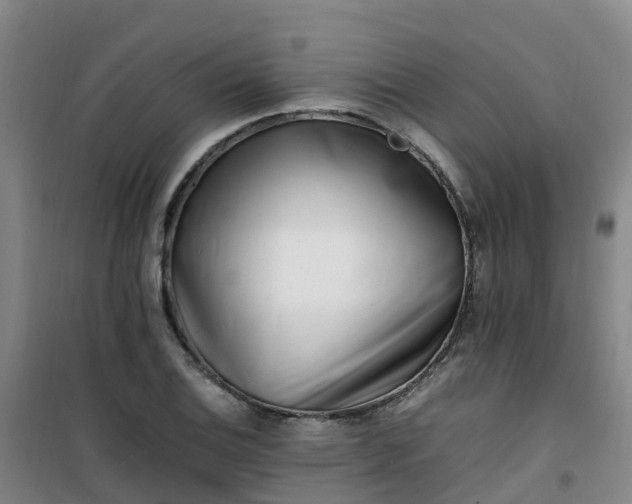 X0000101171124200807111046