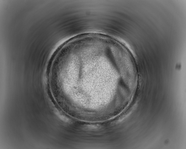 X0000101171125200807111046