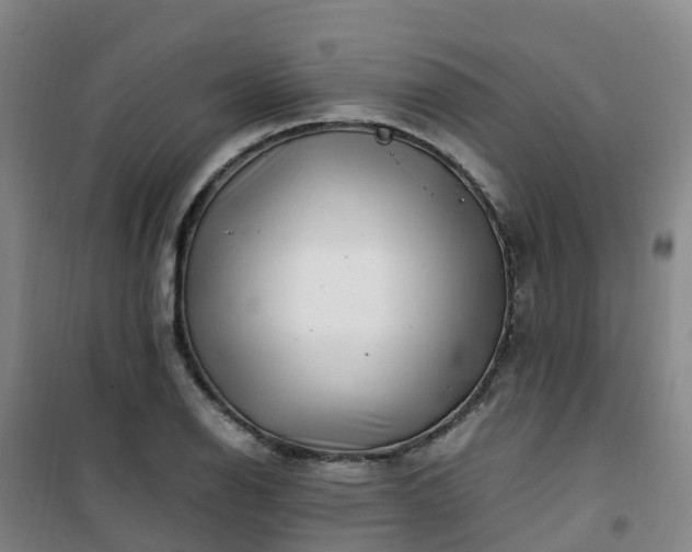 X0000101171126200807111046