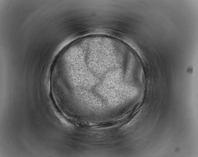 X0000101171127200807111046