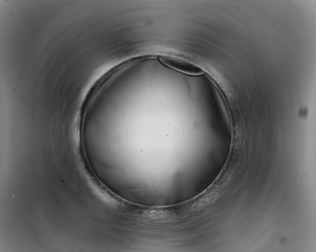 X0000101171128200807111046