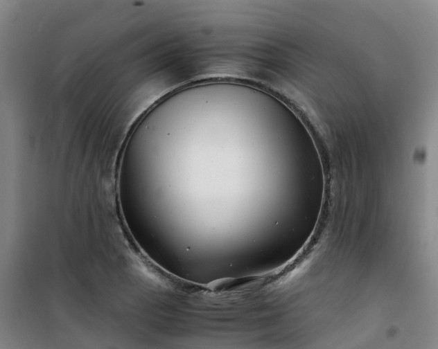 X0000101171129200807111046