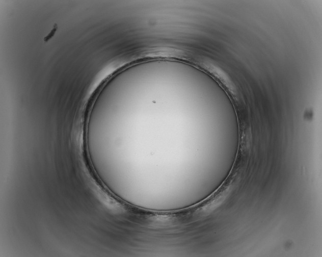 X0000101171130200807111046